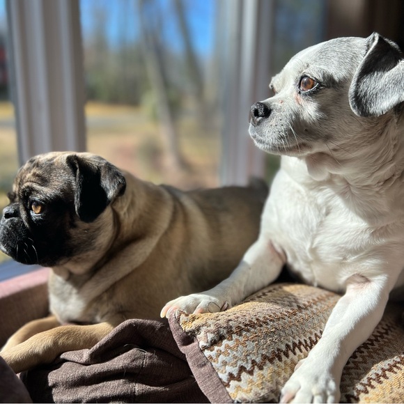 Meet your Posher, Meghan - Picture 10 of 13